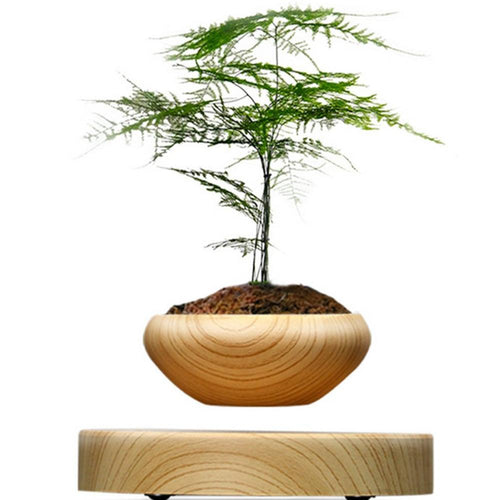 Levitating Plant Air Bonsai Floating Pot - stilyo