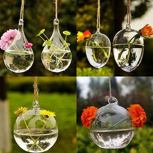 Hydroponic Hanging Terrarium - stilyo