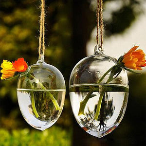 Hydroponic Hanging Terrarium - stilyo