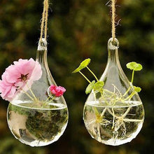 Load image into Gallery viewer, Hydroponic Hanging Terrarium - stilyo
