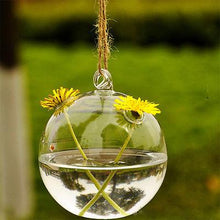 Load image into Gallery viewer, Hydroponic Hanging Terrarium - stilyo
