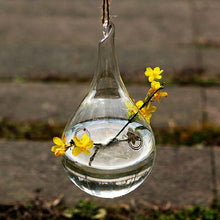 Load image into Gallery viewer, Hydroponic Hanging Terrarium - stilyo
