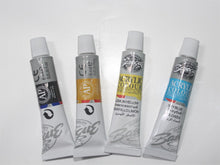 Load image into Gallery viewer, 2 Colors Professional Acrylic Paints Set - stilyo
