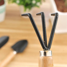 Load image into Gallery viewer, Mini garden plant steel tool set: Shovel Spade Knife - stilyo
