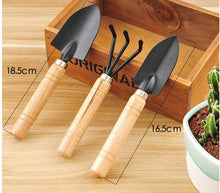 Load image into Gallery viewer, Mini garden plant steel tool set: Shovel Spade Knife - stilyo
