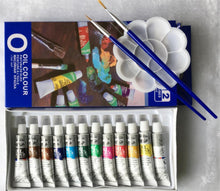 Load image into Gallery viewer, 12 Pack Oil Paint - stilyo
