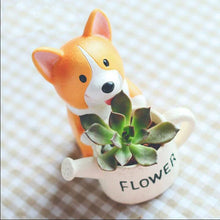 Load image into Gallery viewer, Mini Corgi Ceramic Plant Pot - stilyo
