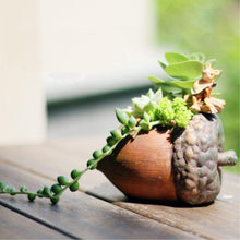Load image into Gallery viewer, Mini Pine Succulent Planters Pot - stilyo
