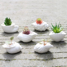 Load image into Gallery viewer, 6 Pieces set Mini Shell Shaped Ceramic Planters - stilyo
