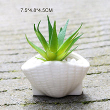 Load image into Gallery viewer, 6 Pieces set Mini Shell Shaped Ceramic Planters - stilyo
