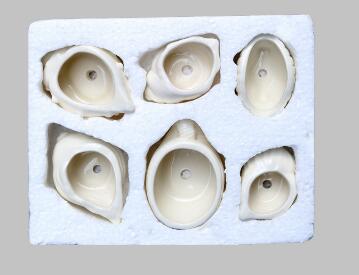 6 Pieces set Mini Shell Shaped Ceramic Planters - stilyo