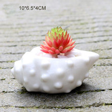 Load image into Gallery viewer, 6 Pieces set Mini Shell Shaped Ceramic Planters - stilyo
