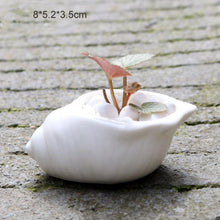 Load image into Gallery viewer, 6 Pieces set Mini Shell Shaped Ceramic Planters - stilyo
