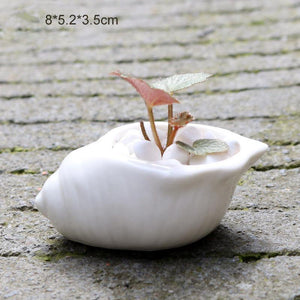 6 Pieces set Mini Shell Shaped Ceramic Planters - stilyo