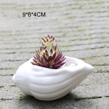 Load image into Gallery viewer, 6 Pieces set Mini Shell Shaped Ceramic Planters - stilyo
