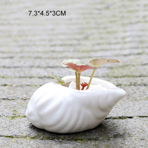 6 Pieces set Mini Shell Shaped Ceramic Planters - stilyo