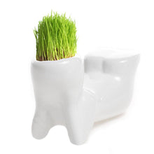 Load image into Gallery viewer, Mini Ceramic White Doll Grass Hair - stilyo
