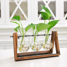 Load image into Gallery viewer, Rustic Plant Terrarium with Wooden Stand - stilyo
