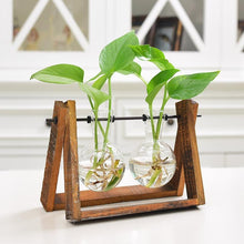 Load image into Gallery viewer, Rustic Plant Terrarium with Wooden Stand - stilyo
