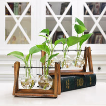 Load image into Gallery viewer, Rustic Plant Terrarium with Wooden Stand - stilyo
