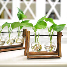 Load image into Gallery viewer, Rustic Plant Terrarium with Wooden Stand - stilyo
