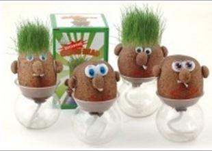 Lovely Design Mini DIY Magic Grass Head Plant - stilyo