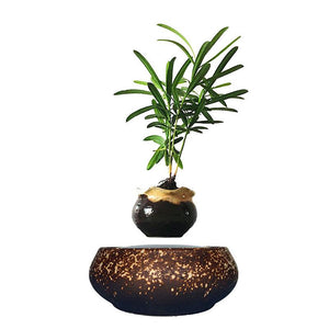 Supernova Base Levitating Air-Floating Bonsai Pot - stilyo