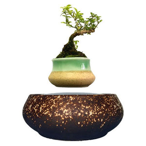 Supernova Base Levitating Air-Floating Bonsai Pot - stilyo