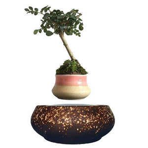 Supernova Base Levitating Air-Floating Bonsai Pot - stilyo