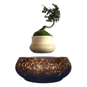 Supernova Base Levitating Air-Floating Bonsai Pot - stilyo