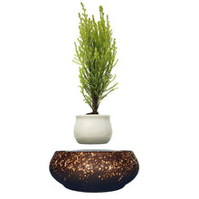 Load image into Gallery viewer, Supernova Base Levitating Air-Floating Bonsai Pot - stilyo
