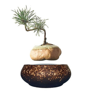 Supernova Base Levitating Air-Floating Bonsai Pot - stilyo