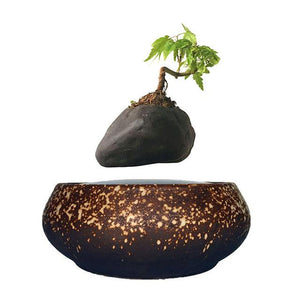 Supernova Base Levitating Air-Floating Bonsai Pot - stilyo