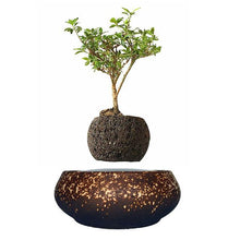 Load image into Gallery viewer, Supernova Base Levitating Air-Floating Bonsai Pot - stilyo
