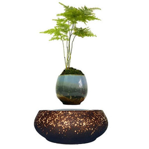 Supernova Base Levitating Air-Floating Bonsai Pot - stilyo