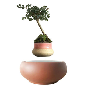 Desert Sand Base Levitating Air-Floating Bonsai Pot - stilyo