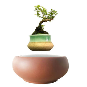 Desert Sand Base Levitating Air-Floating Bonsai Pot - stilyo