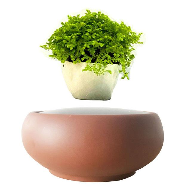 Desert Sand Base Levitating Air-Floating Bonsai Pot - stilyo