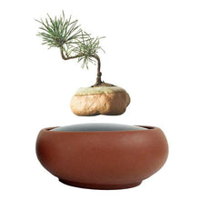 Load image into Gallery viewer, Desert Sand Base Levitating Air-Floating Bonsai Pot - stilyo
