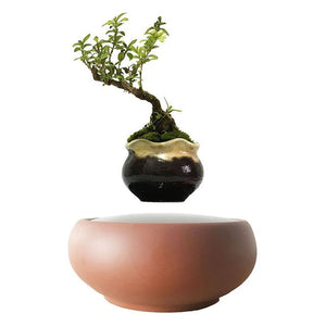 Desert Sand Base Levitating Air-Floating Bonsai Pot - stilyo