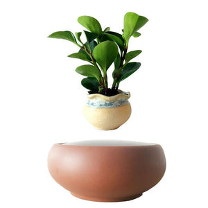 Desert Sand Base Levitating Air-Floating Bonsai Pot - stilyo