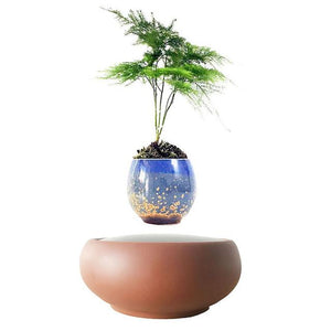 Desert Sand Base Levitating Air-Floating Bonsai Pot - stilyo