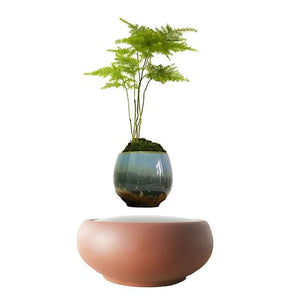 Desert Sand Base Levitating Air-Floating Bonsai Pot - stilyo