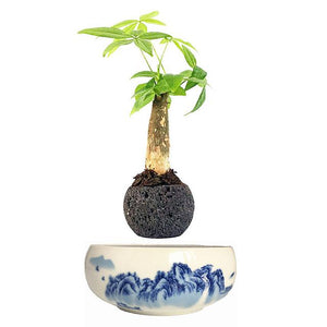 Blue Ocean Base Levitating Air-Floating Bonsai Pot - stilyo