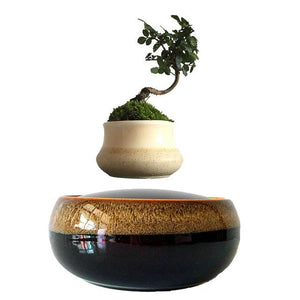 Black Eye Base Levitating Air-Floating Bonsai Pot - stilyo