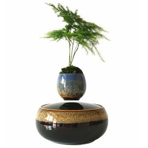 Black Eye Base Levitating Air-Floating Bonsai Pot - stilyo