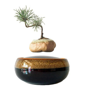 Black Eye Base Levitating Air-Floating Bonsai Pot - stilyo