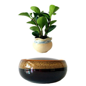 Black Eye Base Levitating Air-Floating Bonsai Pot - stilyo