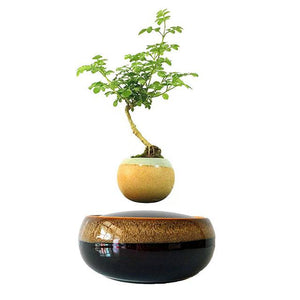 Black Eye Base Levitating Air-Floating Bonsai Pot - stilyo