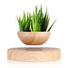 Load image into Gallery viewer, Levitating Plant Air Bonsai Floating Pot - stilyo
